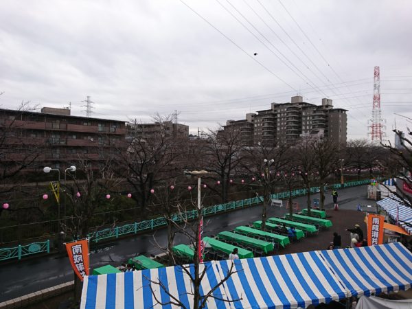 恩田川さくらまつり3月23日雨天画像